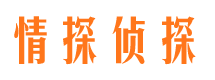 镇康情探私家侦探公司